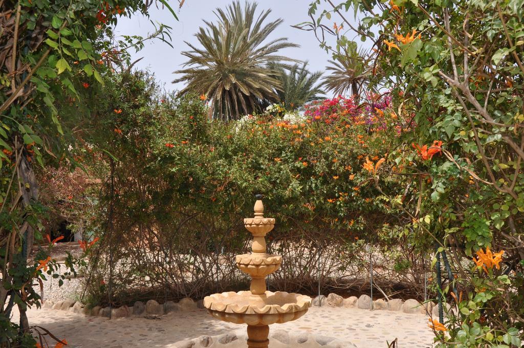 La Palmeraie De Massa Zaouit Massa Экстерьер фото